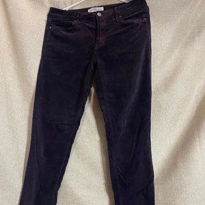 Calvin Klein Plum Velvet Jeans - 6